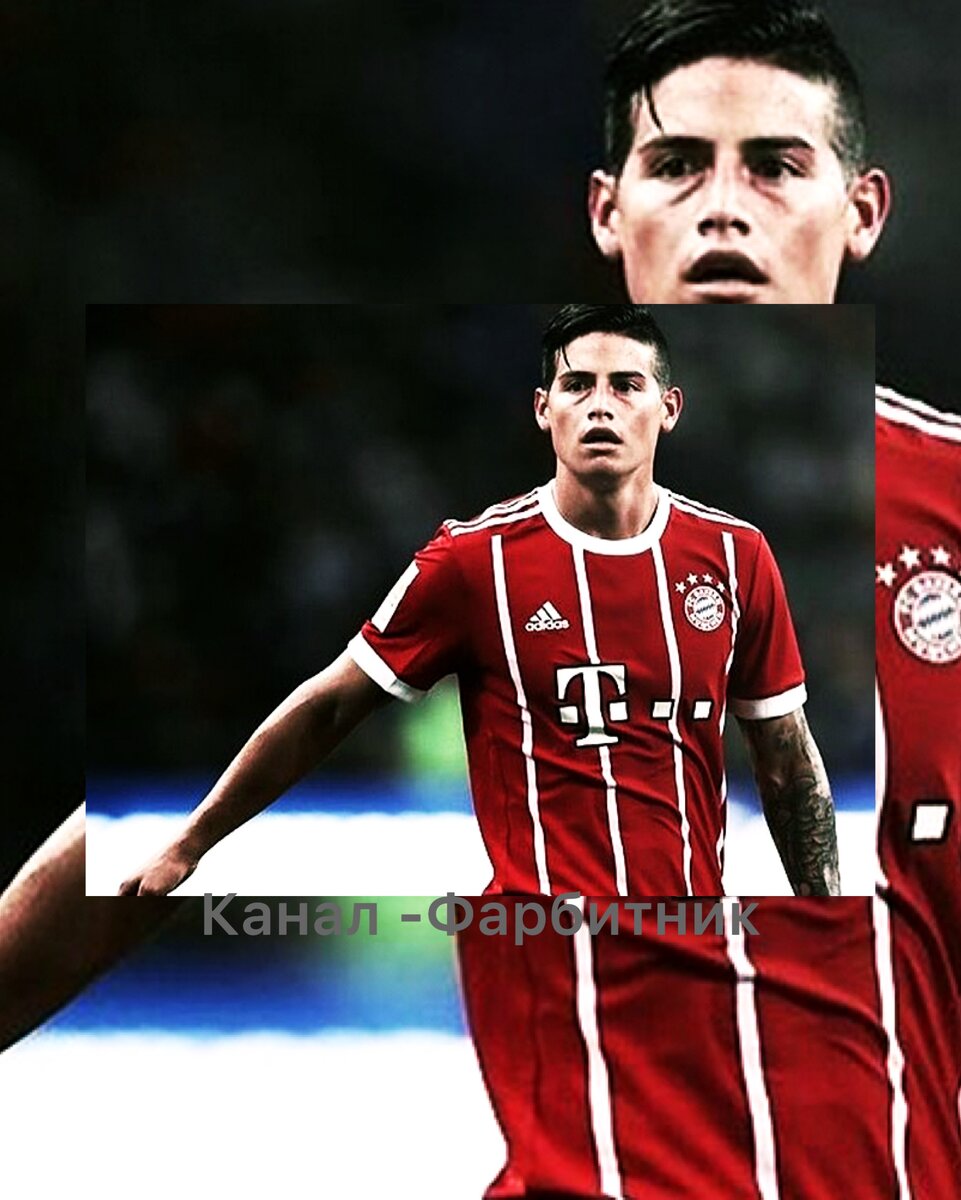 Хамес в Баварии .