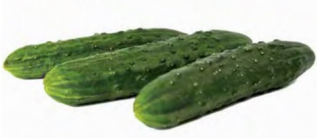 Знакомьтесь. Данди F 1