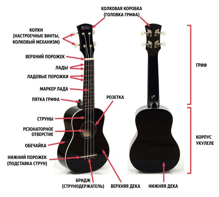 Строение укулеле*

