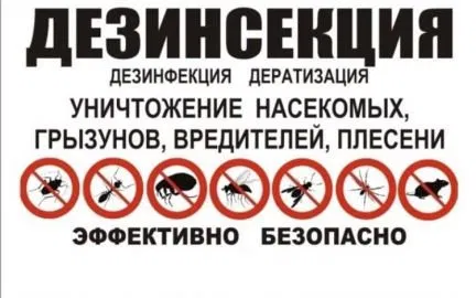 Санитарная служба в Москве