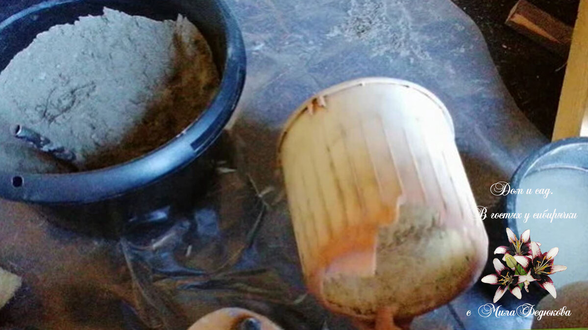 Не забывайте подписываться на канал, чтобы не пропускать новые идеи и статьи