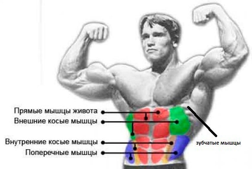 Комплекс упражнений для домашней тренировки. Занятия на все группы мышц – подходят для начинающих