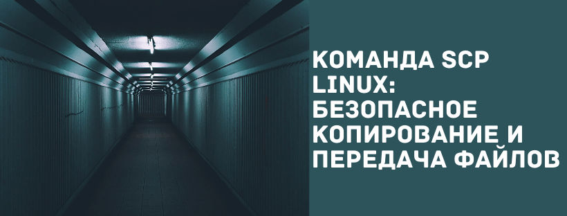 Команда SCP Linux: безопасное копирование и передача файлов