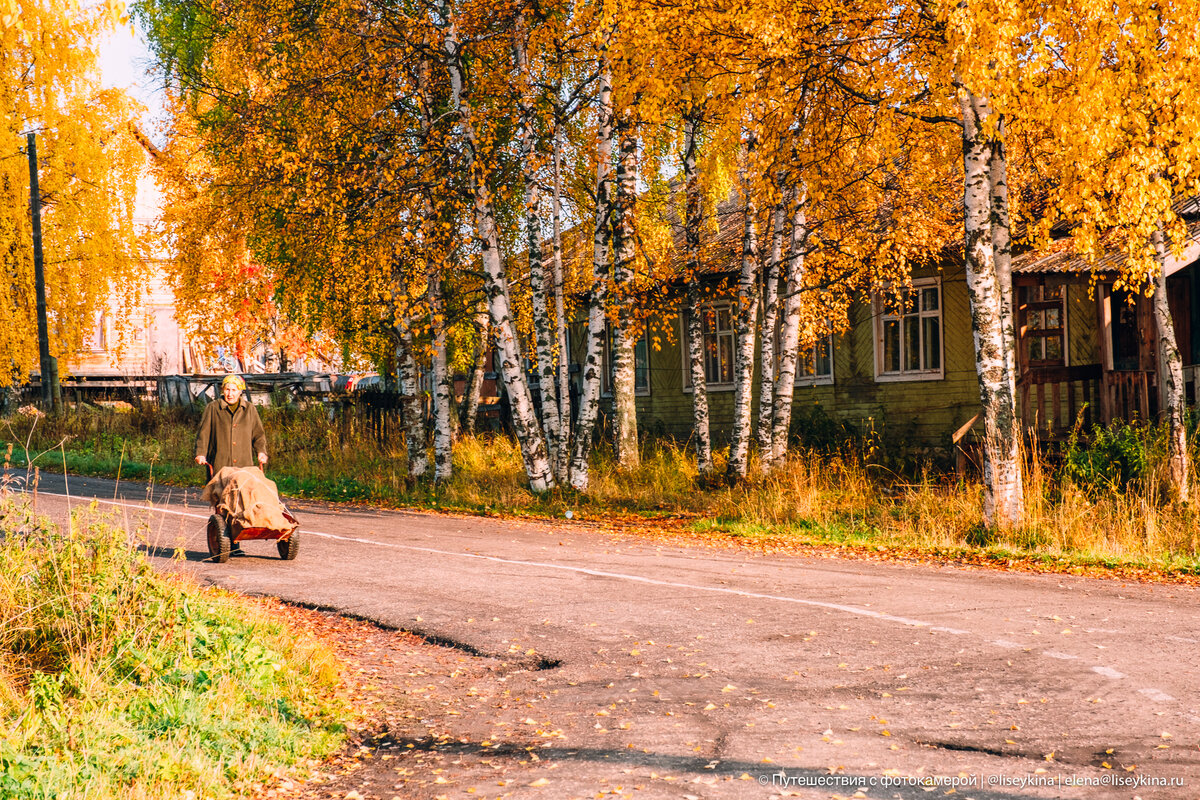 Прогноз погоды в троицко печорске. Троицко-Печорск. Троицко Печорск Южный озеро. Пгт Троицко-Печорск Республика Коми. Утиное озеро Троицко-Печорск.