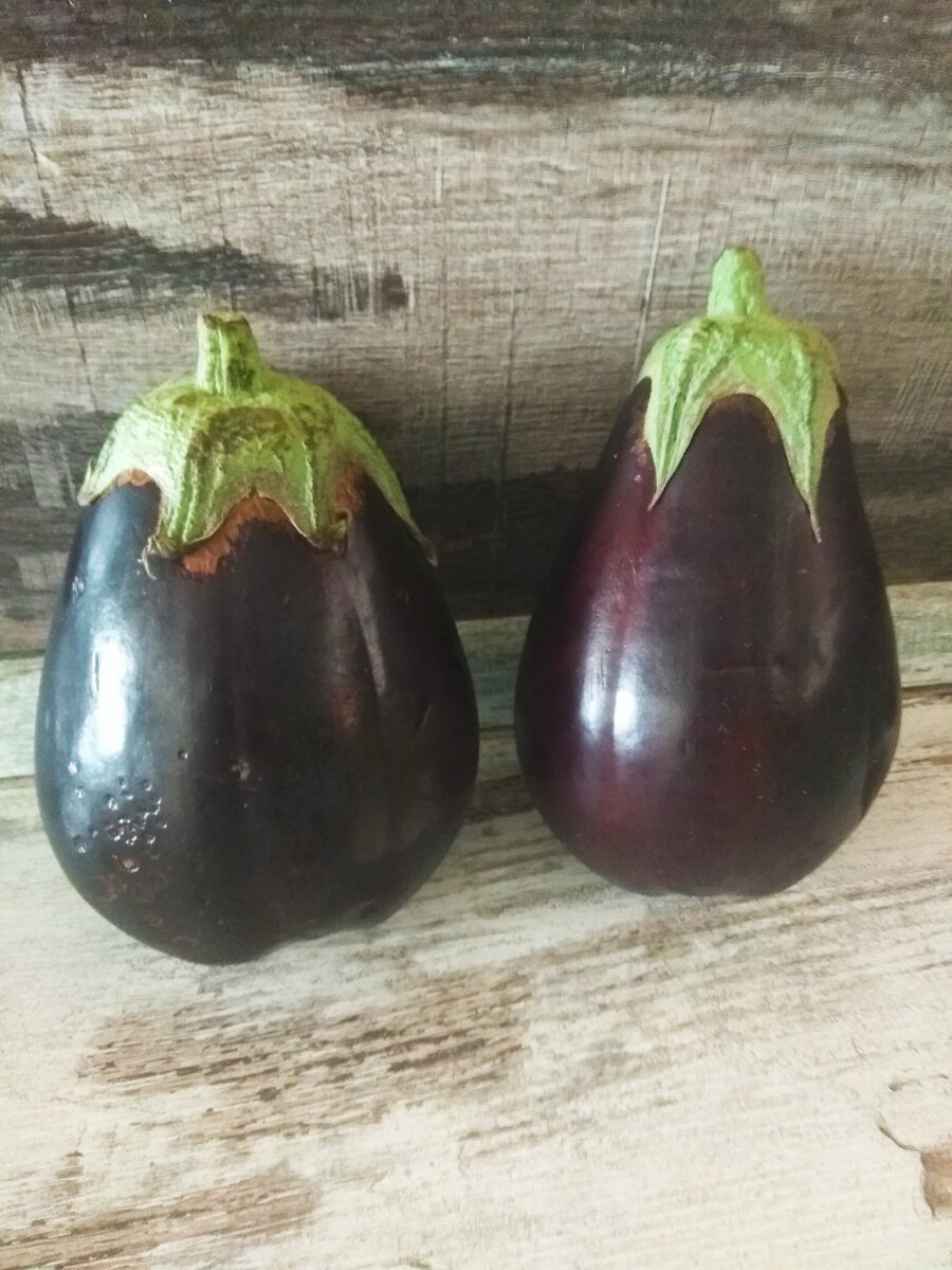 Баклажаны сейчас 110р/кг., я купила слегка подмороженные за 80р /кг.