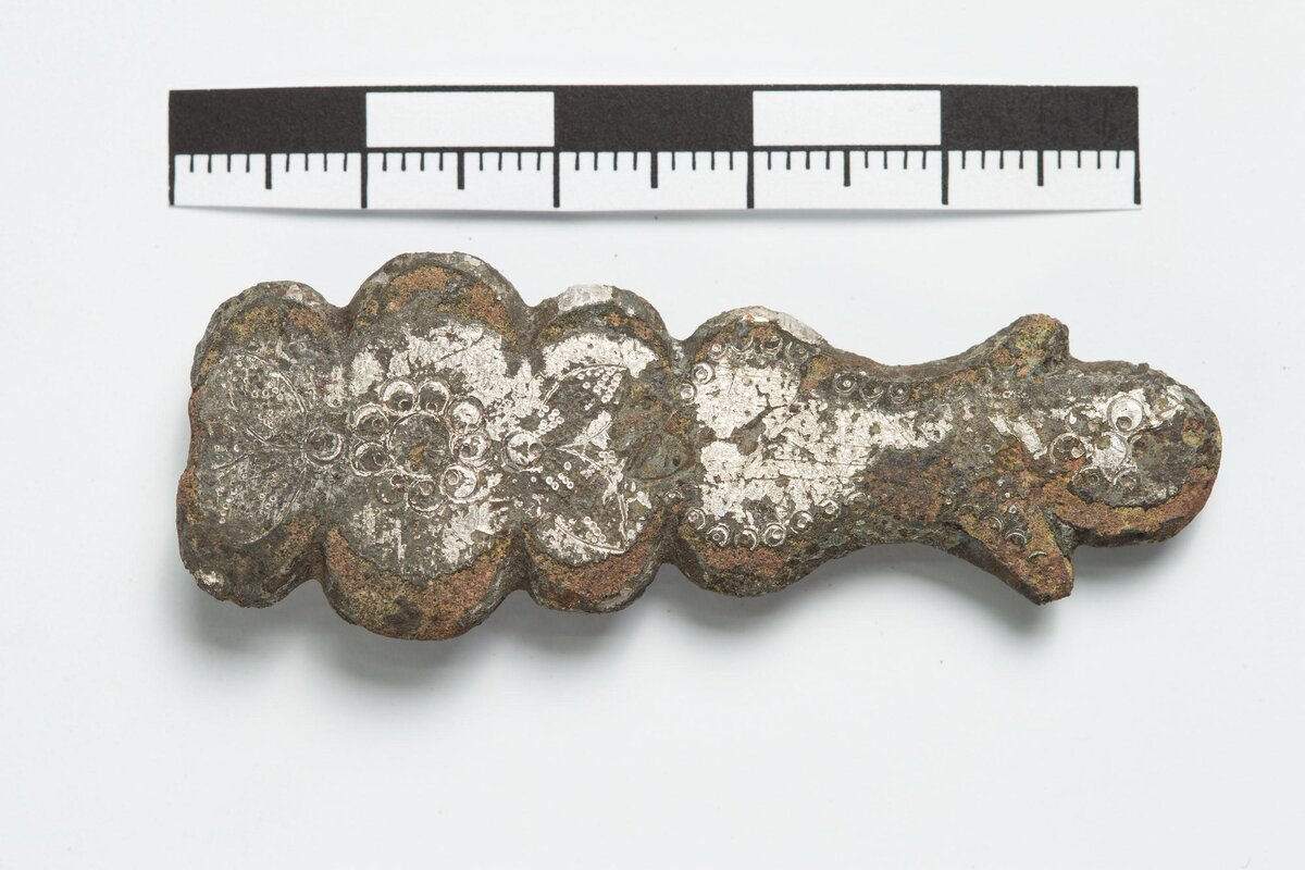 Железная ременная накладка. Находка с раскопок близ деревни Хворостянка Куркинского района Тульской области, 2020 г. Фото: https://kulpole.ru/
