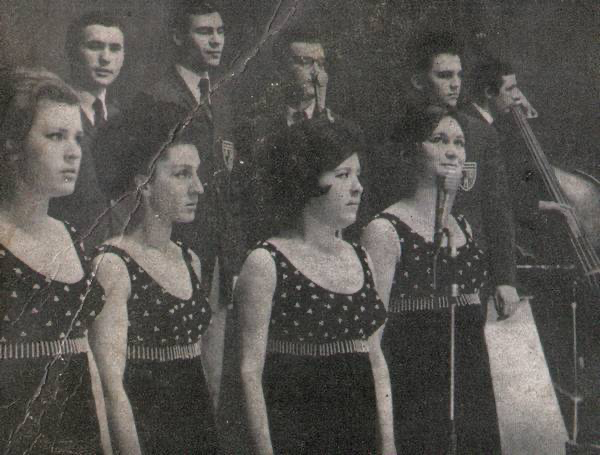 Вио. ВИА 66 Саульского. Толкунова в ВИО 66