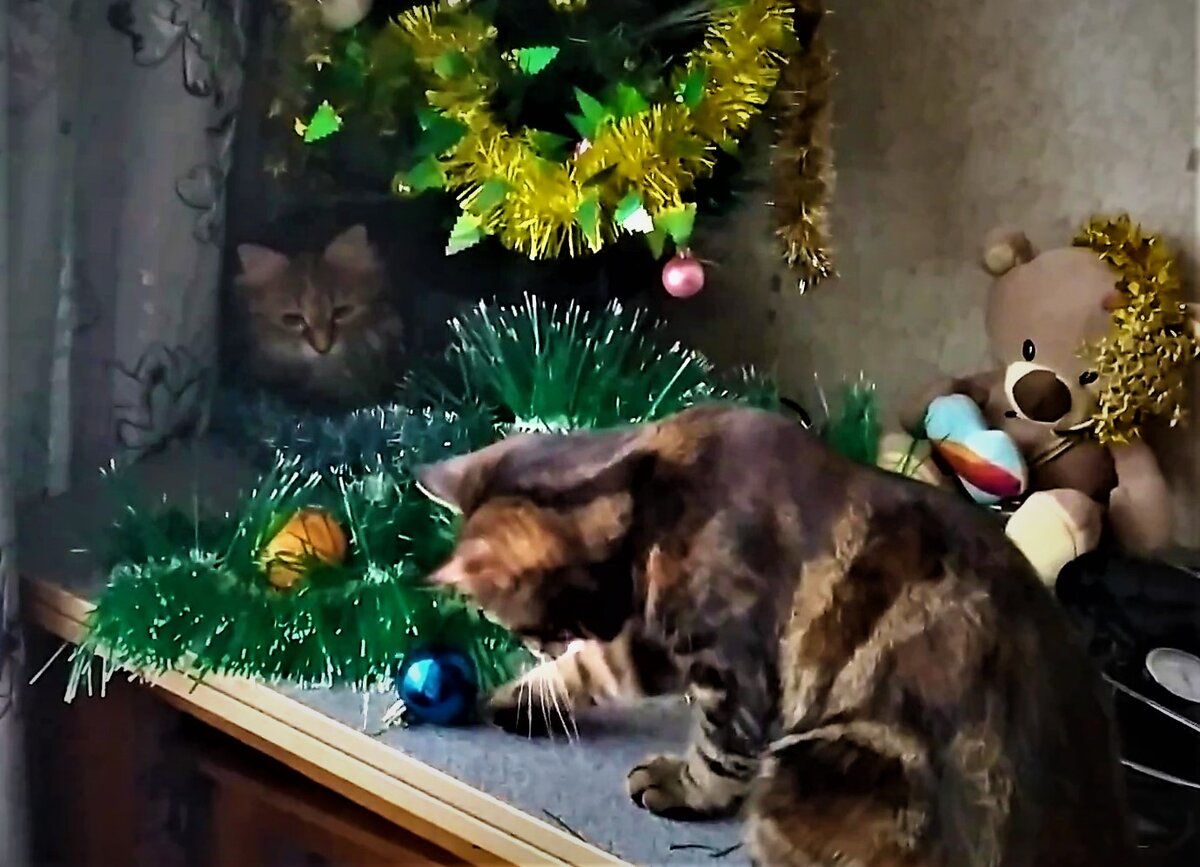 Фото из личного архива. Стол, который не стала накрывать. Теперь на нем стоит ёлка.