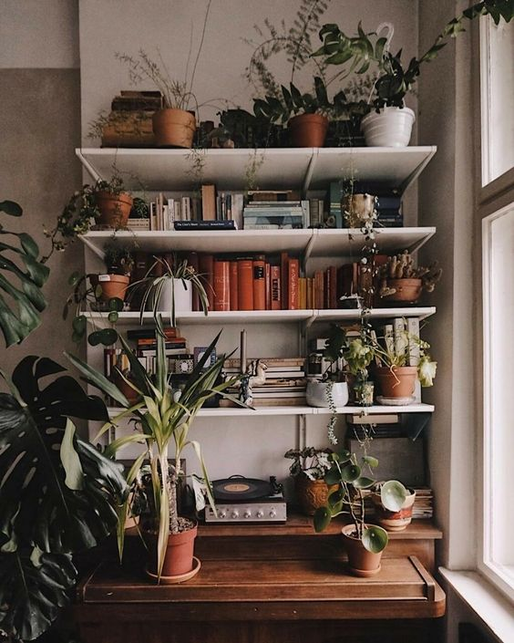 Фото pinterest: @ngif