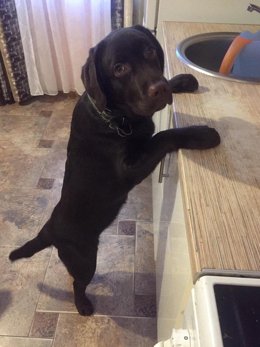 Мне все можно