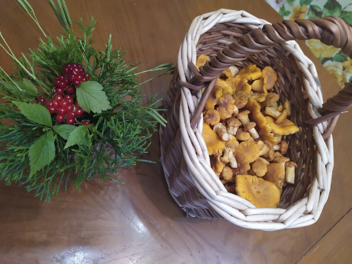 Самые чистые и  мои любимые грибы лисички, костяничка...