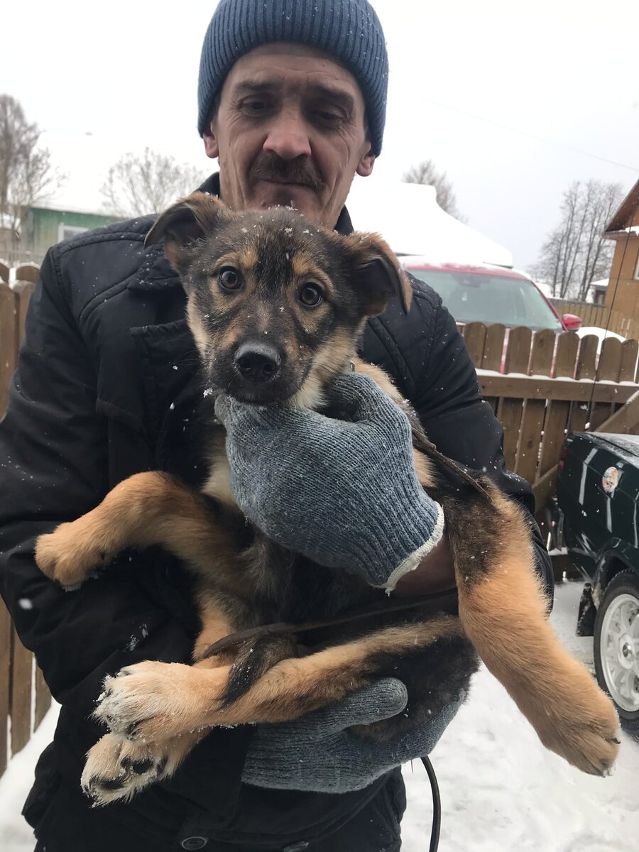 Дай джим чусовой. Джим Чусовой приют.