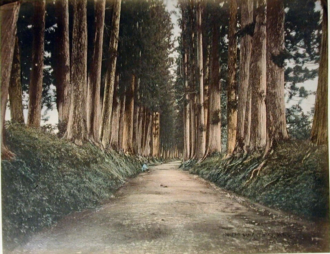 Япония. Дорога на Никко (раскрашенное фото)