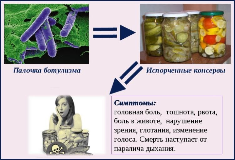 Ботулизм проявляется через какое. Ботулизм возбудитель отравление. Ботулизм возбудитель симптомы. Палочка ботулизма симптомы. Пищевые отравления ботулизм.