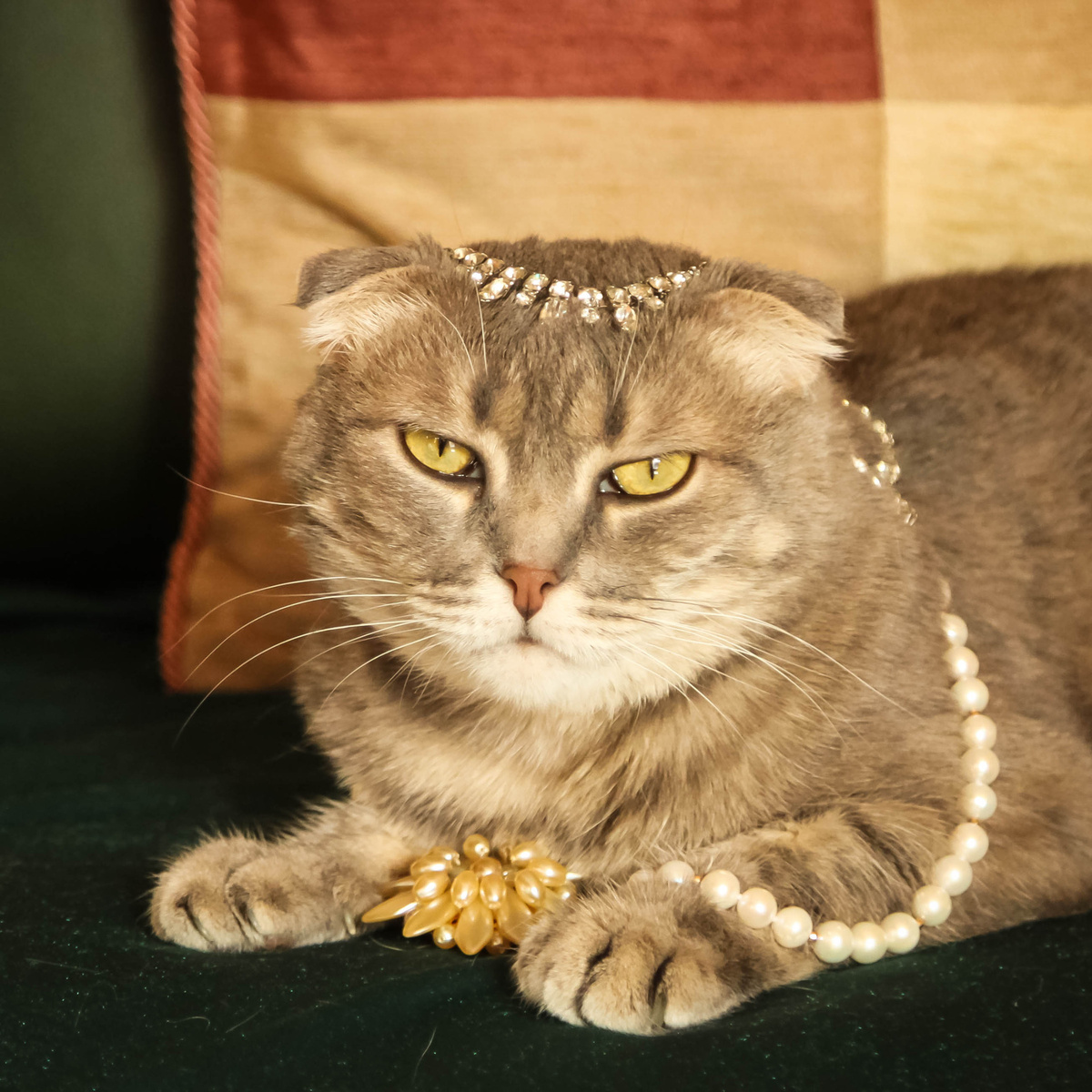 Тетя Сирануш