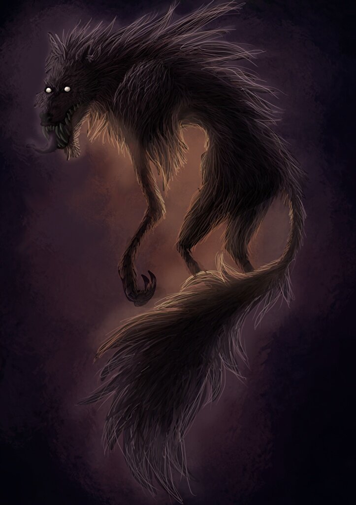 Изображение из интернета. 