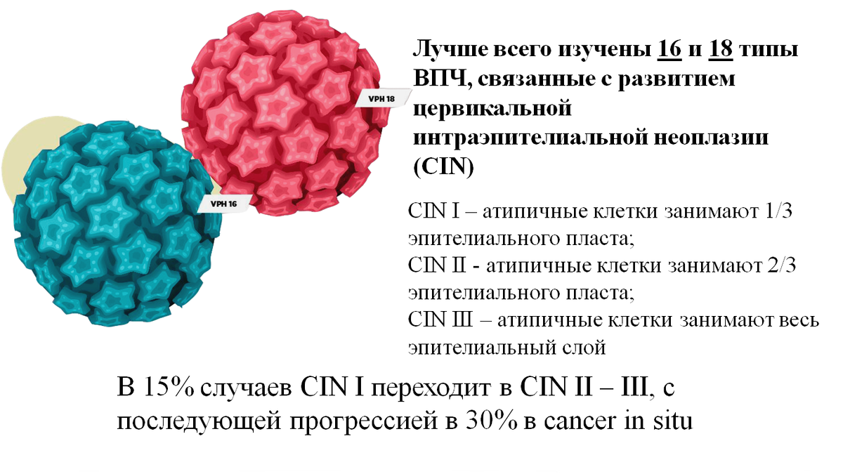 Впч 16 18 типа у женщин. ВПЧ анализ.