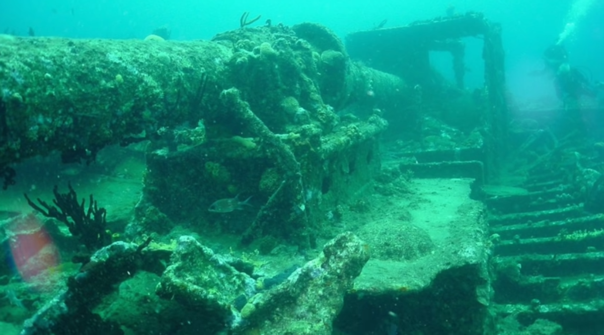 Яндекс Картинки