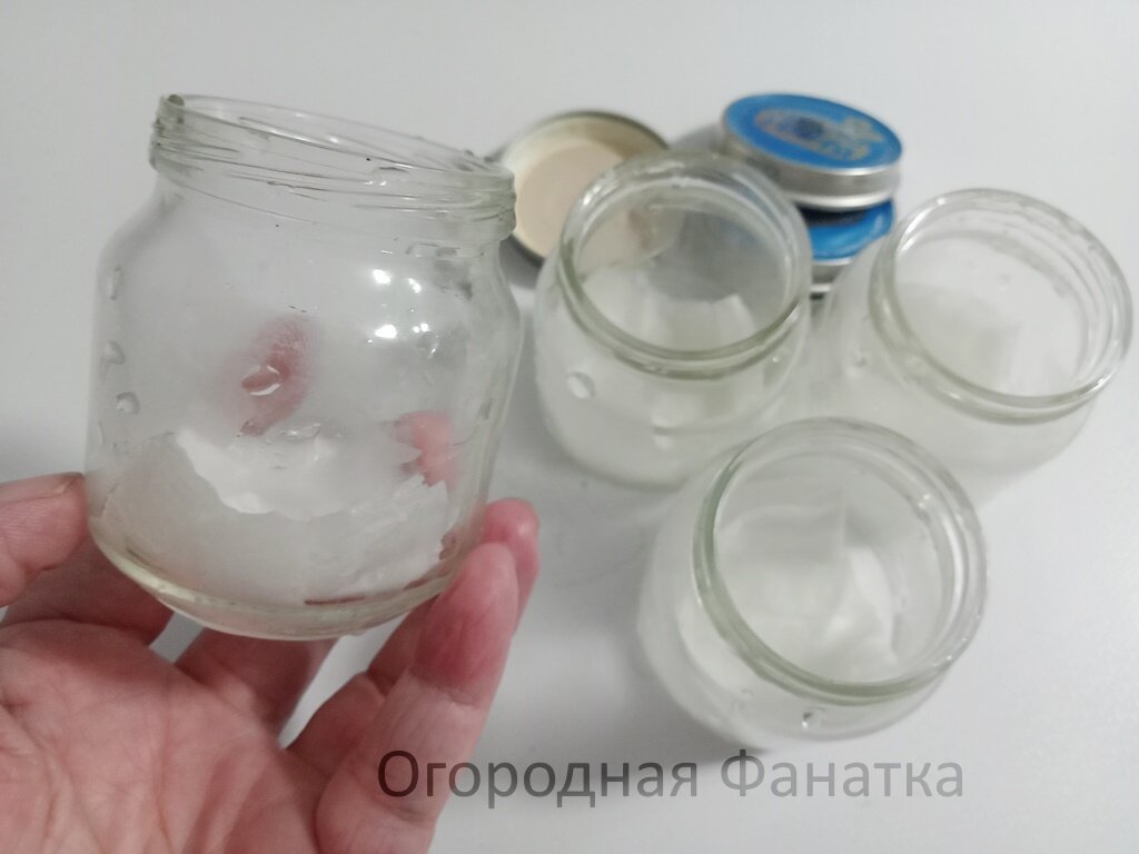 В стеклянные баночки из-под детского питания кладу сложенную в несколько слоев туалетную бумагу, наливаю воду, отжимаю лишнее из туалетной бумаги и сливаю, раскладываю семена и закрываю крышку