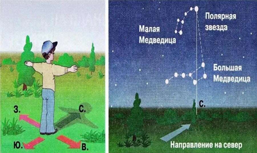 Какая линия совпадает с линией в полдень. Определение сторон света. Определение сторон света по солнцу. Как определить стороны без компаса. Как определить стороны света без компаса.