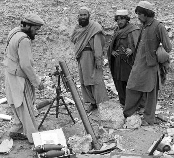 фото из интернета.