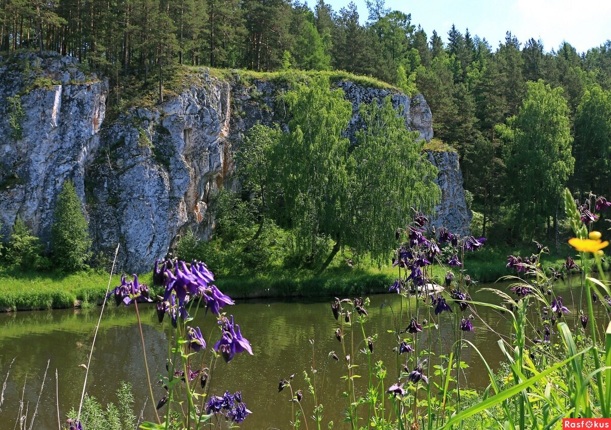 фото: rasfokus.ru