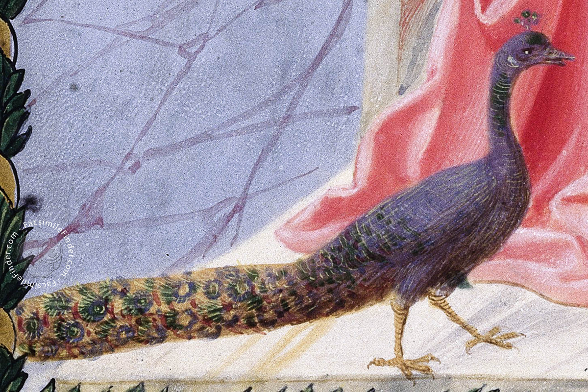 Из Vaticinia Pontificum