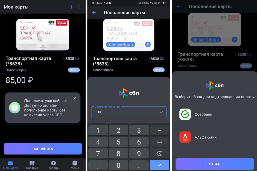 Скриншот: nsknews.info