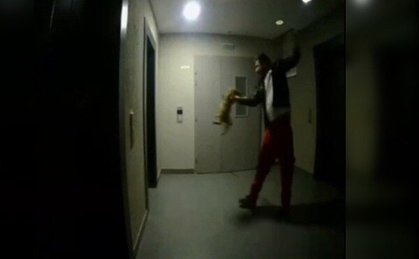 Фото: скриншот видео