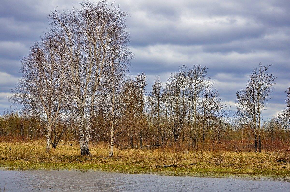 Фото — bryansknovosti.ru