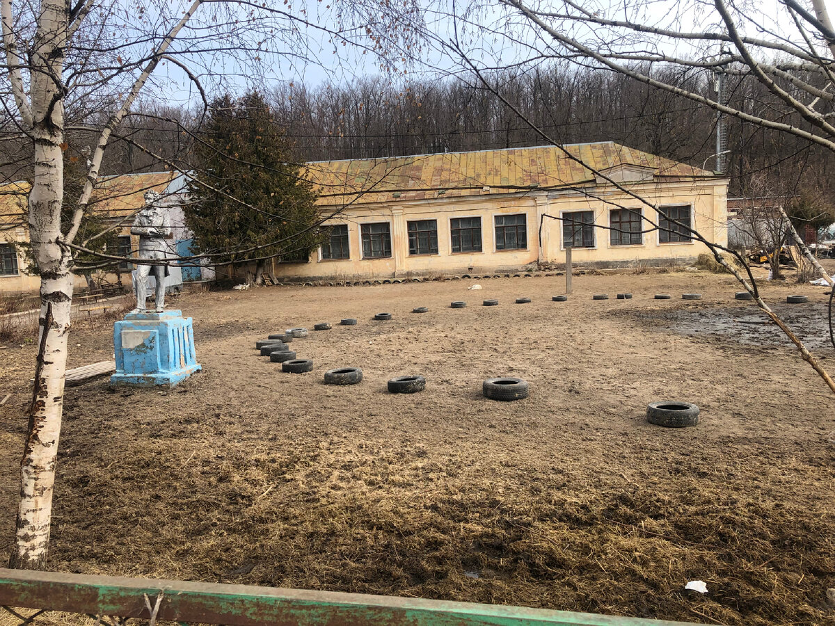 В поселке Аракчино в Казани был обнаружен заброшенный памятник  А.С.Пушкину”. Съездила на место, расскажу и покажу фотографии | Впечатления  от путешествий | Дзен