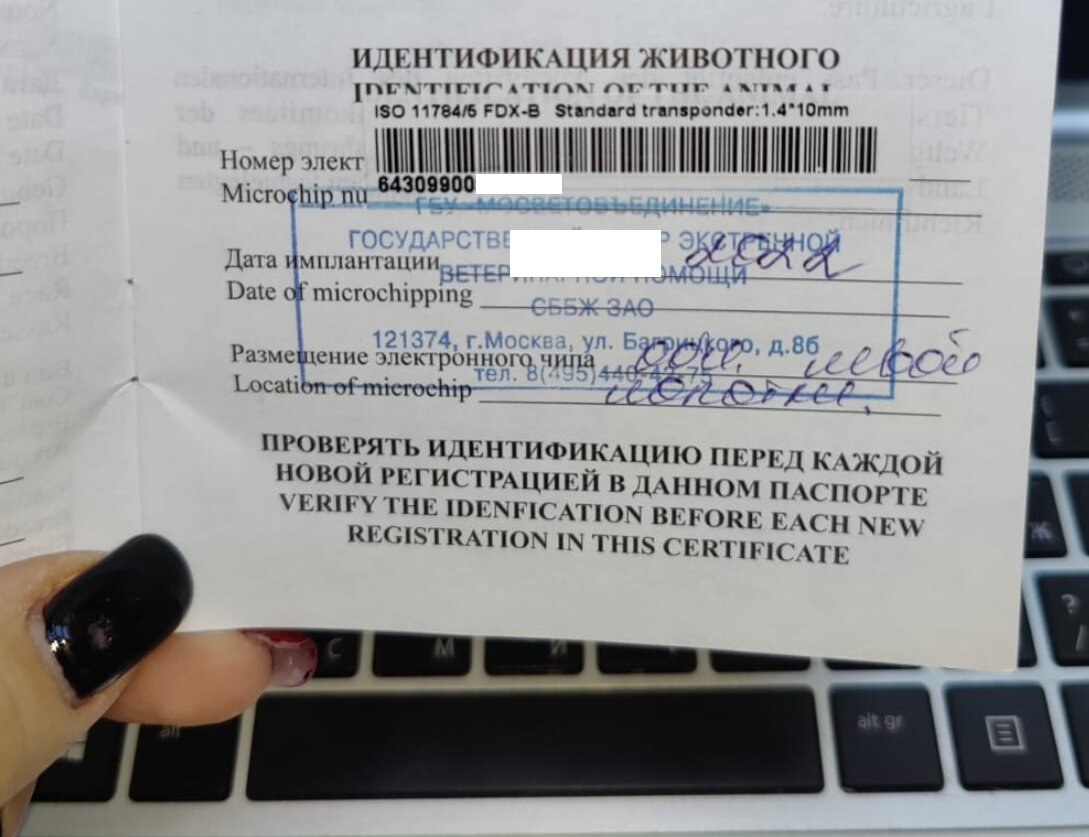 Пометка о чипировании в ветеринарном паспорте моей кошки