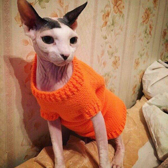 Фото автора 2014г.