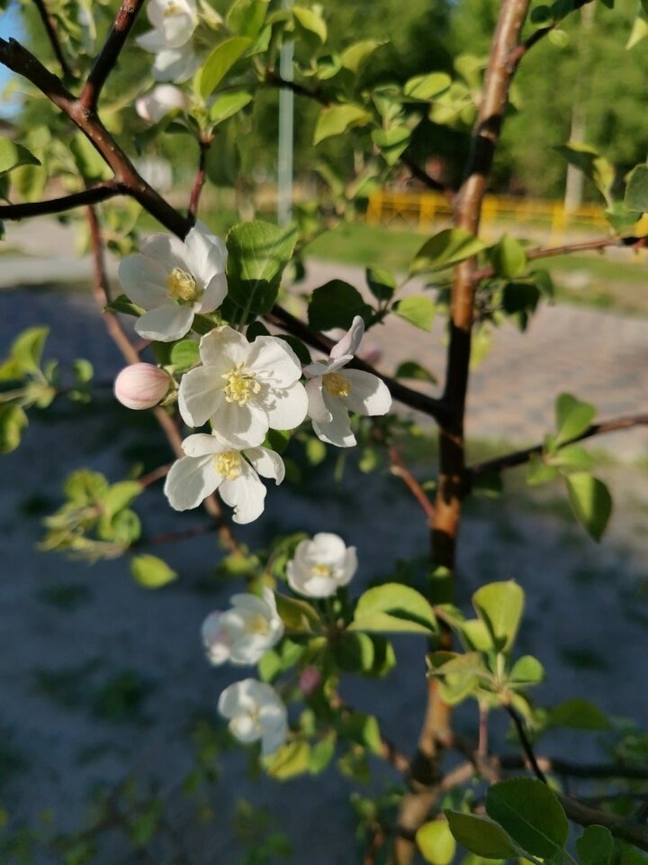 ФОТО: VK.COM АЛЕКСЕЙ РОМАНОВ