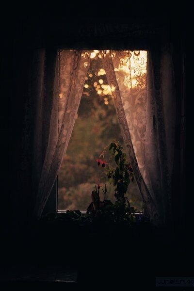 Фото с сайта Pinterest 