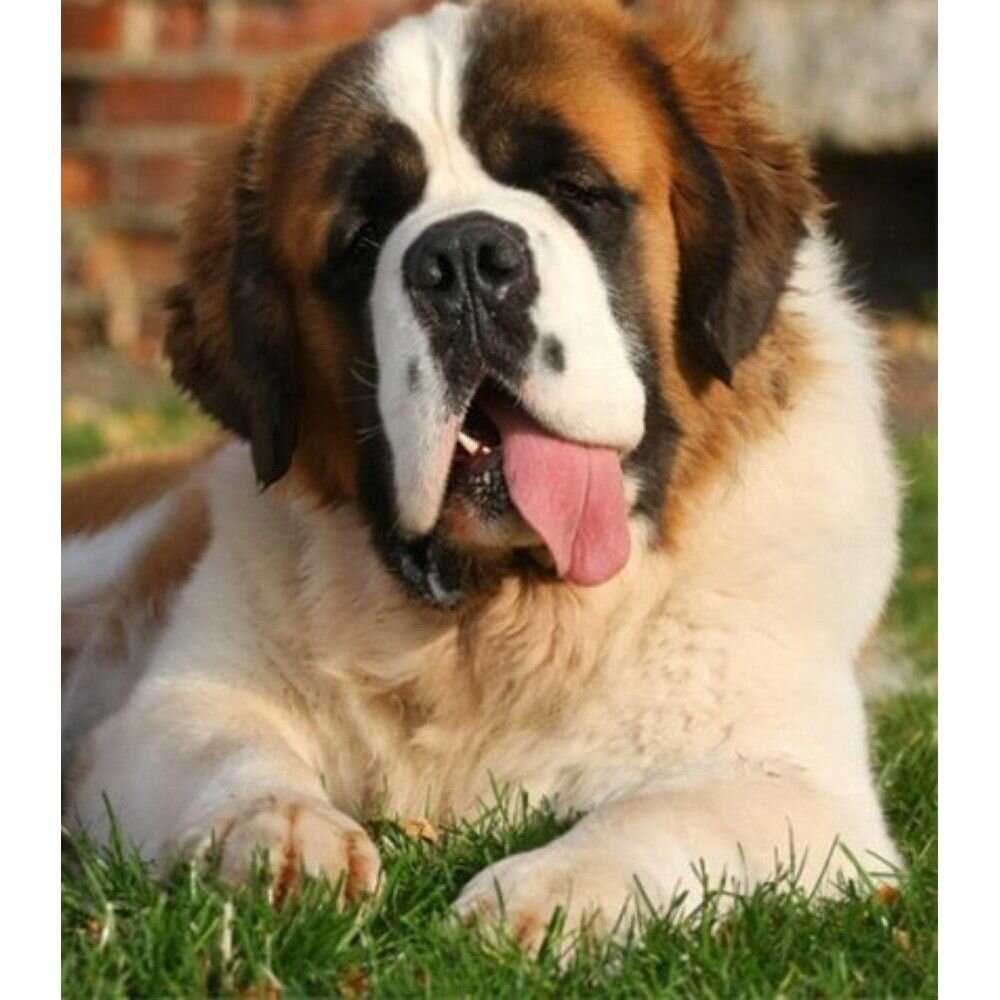 Яндекс картинки, фото с сайта Pinterest