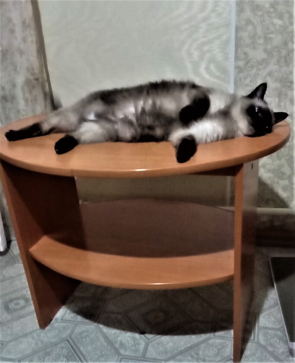Ева отдыхает