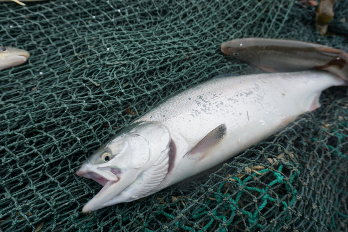 © фото редакции.