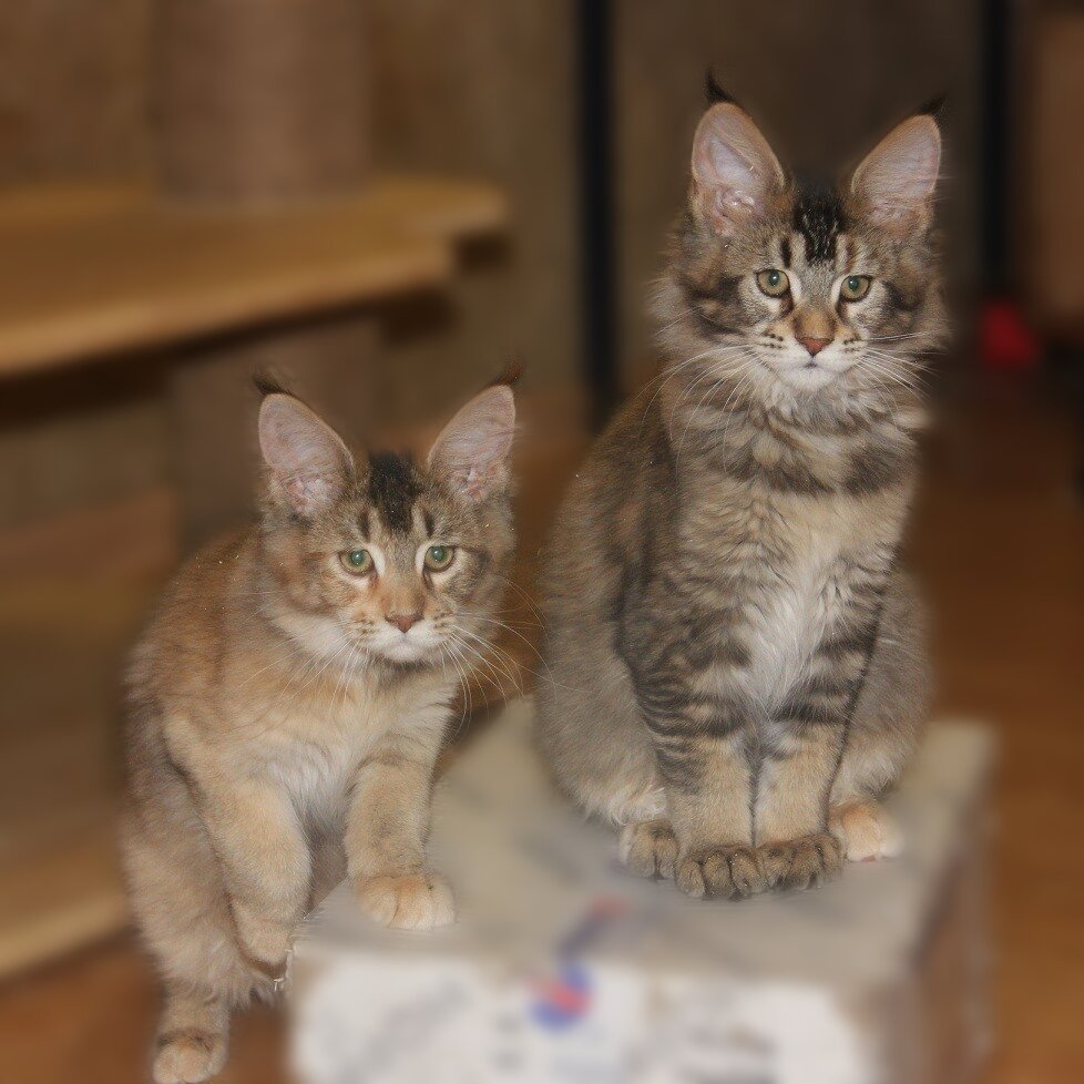 Фото из нашего архива