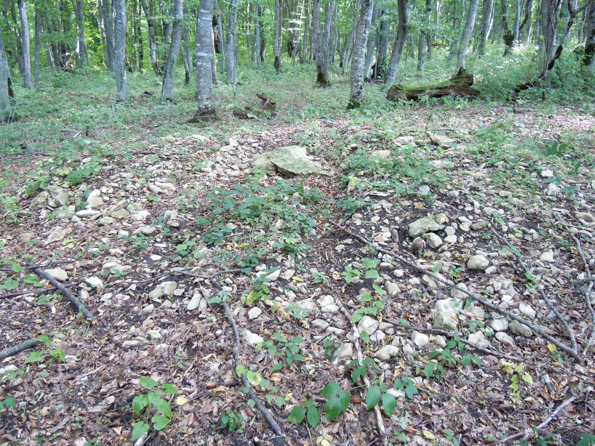 Решил в отдельную тему обособить случайные наблюдения, касающиеся археологических объектов, в которых отсутствуют или, скорее, не доминируют аспекты разграбления, уничтожения или охраны памятников...-26