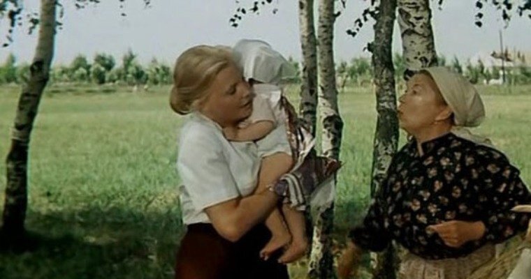 Мать и мачеха лекарственное растение. Мачеха содержание. Мачеха (stepmom 1998). Мачеха 2016. Доронина мачеха.