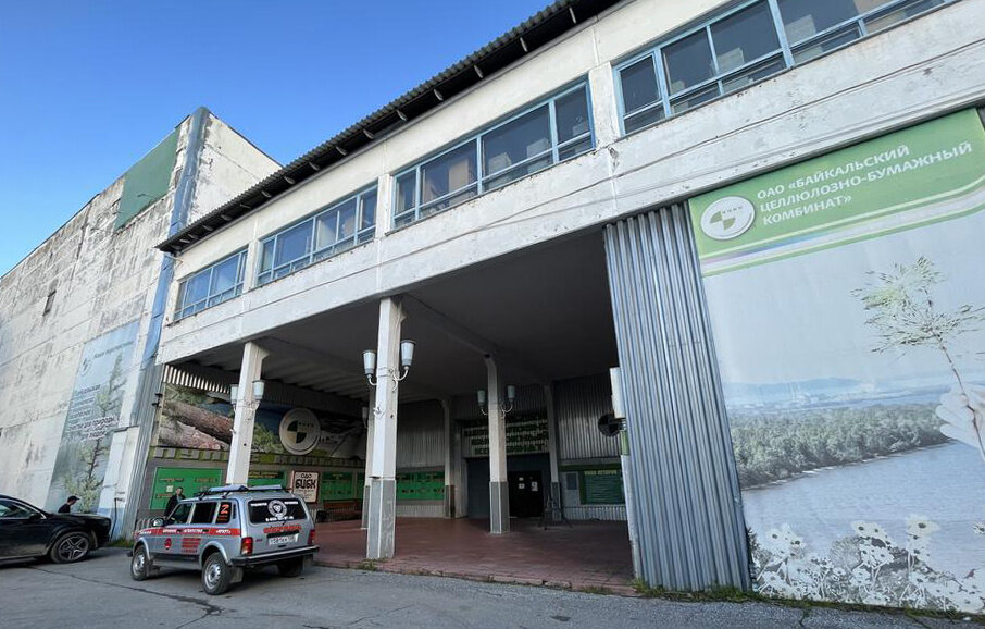 Светлана Латынина/ТАСС