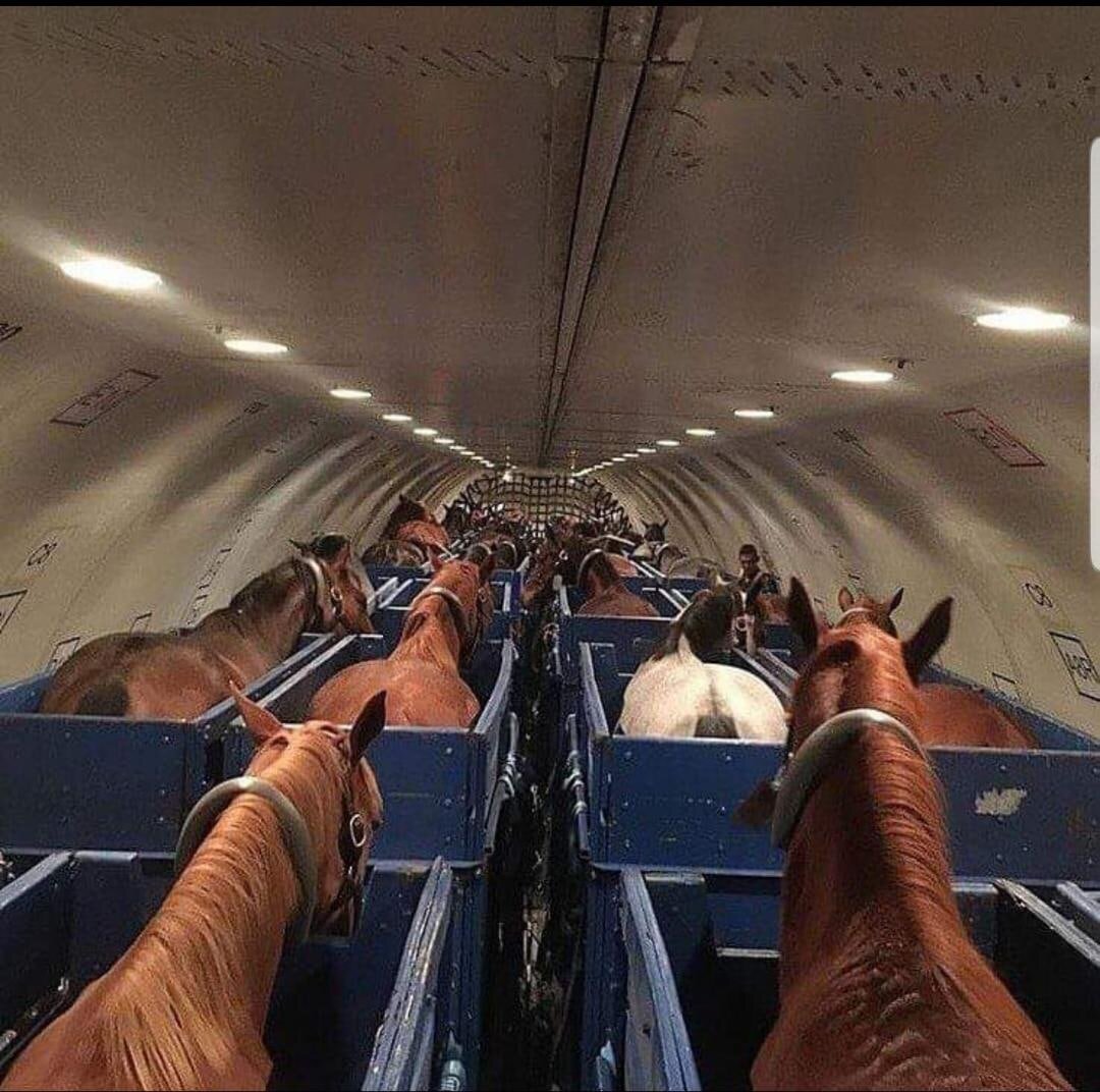 Вот так!