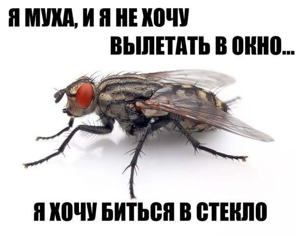 из свободного доступа