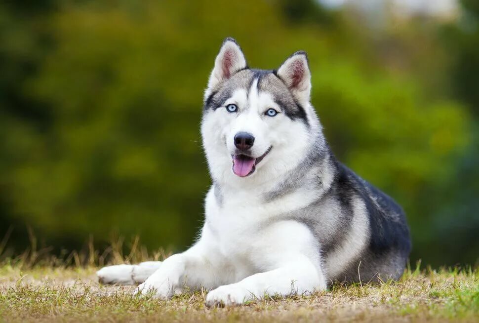 Фото с интернета