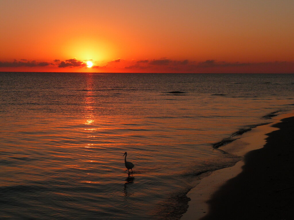 Фотогалерея курорта Беренис