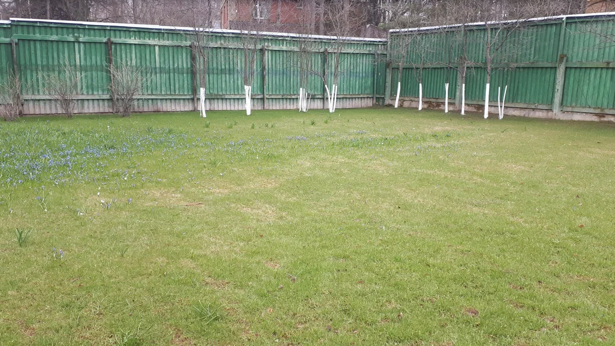 Фотография взята из источника gazetanovoros.ru