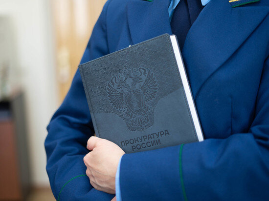    Торговец несуществующими запчастями в Хабаровске заслушал приговор ФОТО: прокуратура Хабаровского края