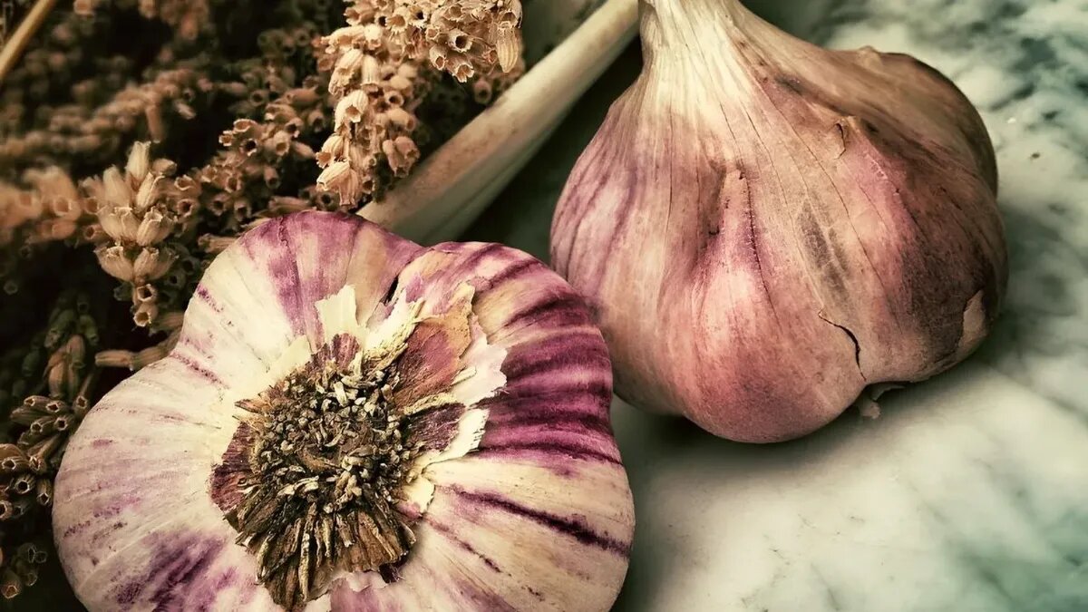 Чеснок для посадки готов. Фото: pxhere.com