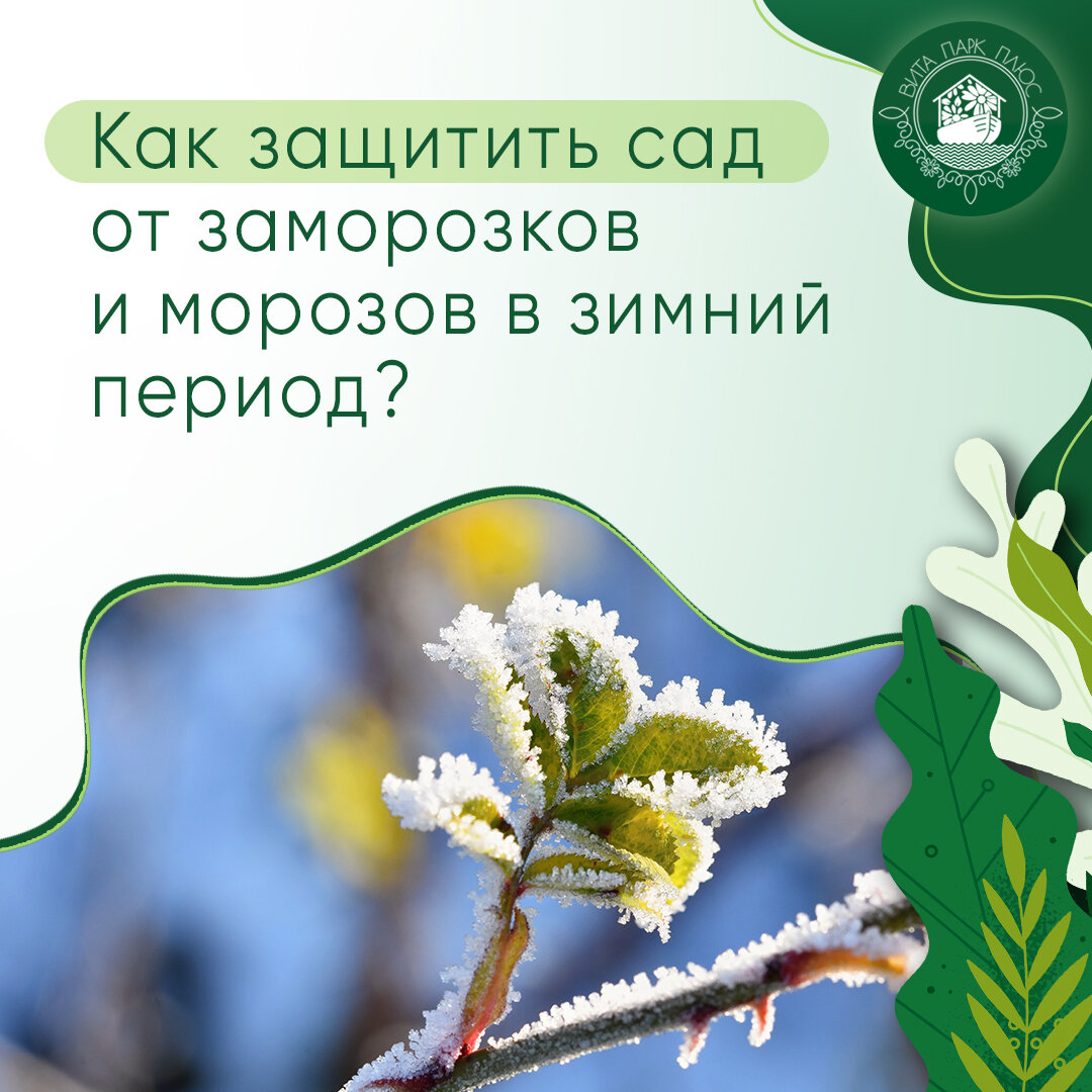 Как защитить сад от заморозков в мае. Как от заморозков уберечь сад. Как уберечь сад весной от замор.